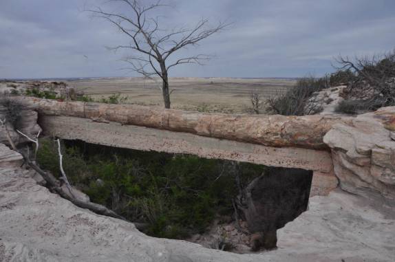 Tronco petrificado forma ponte natural no Petrified Forest National Park, no Arizona - Estados Unidos